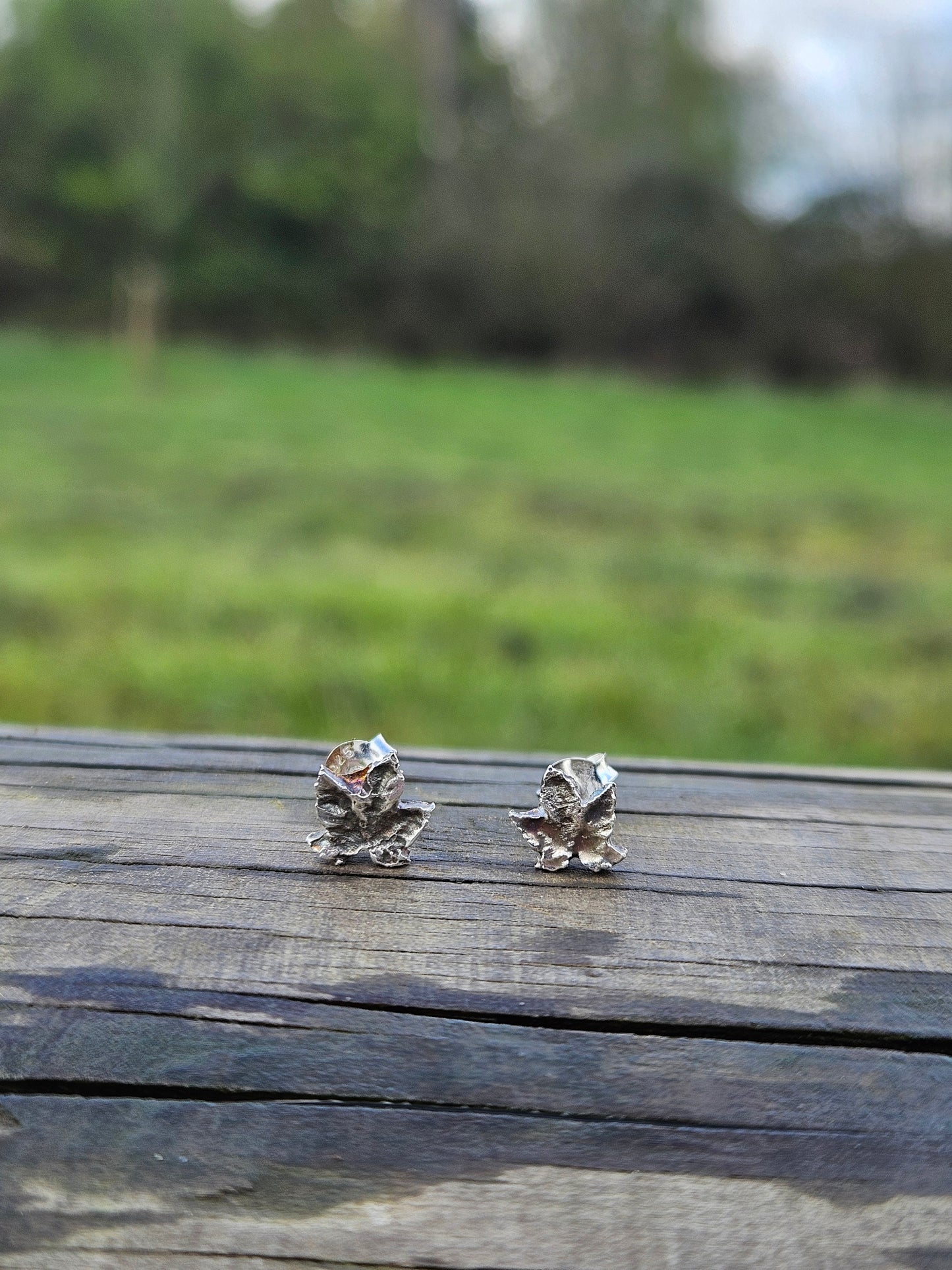 Silverleaf studs