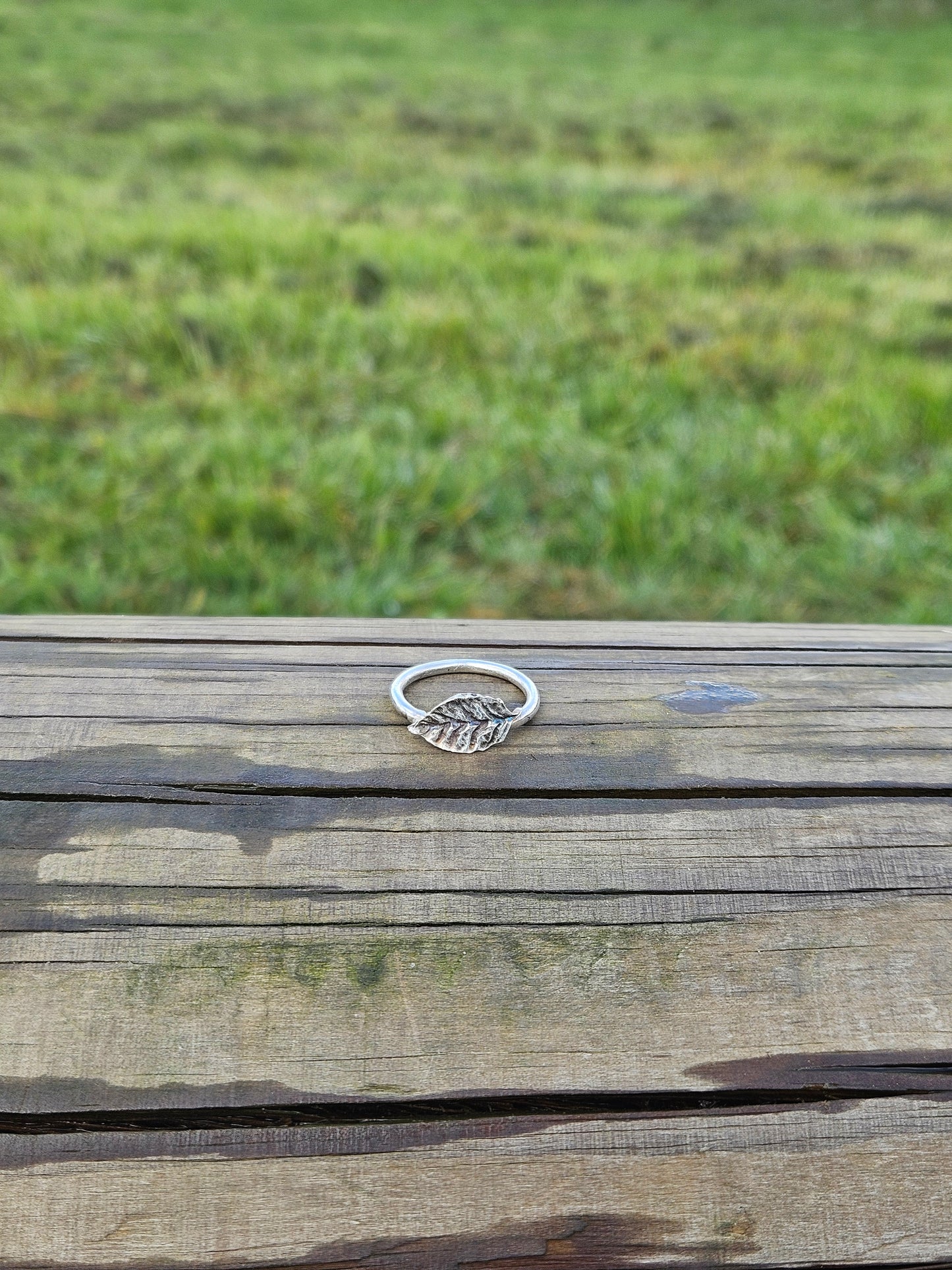 Silverleaf ring