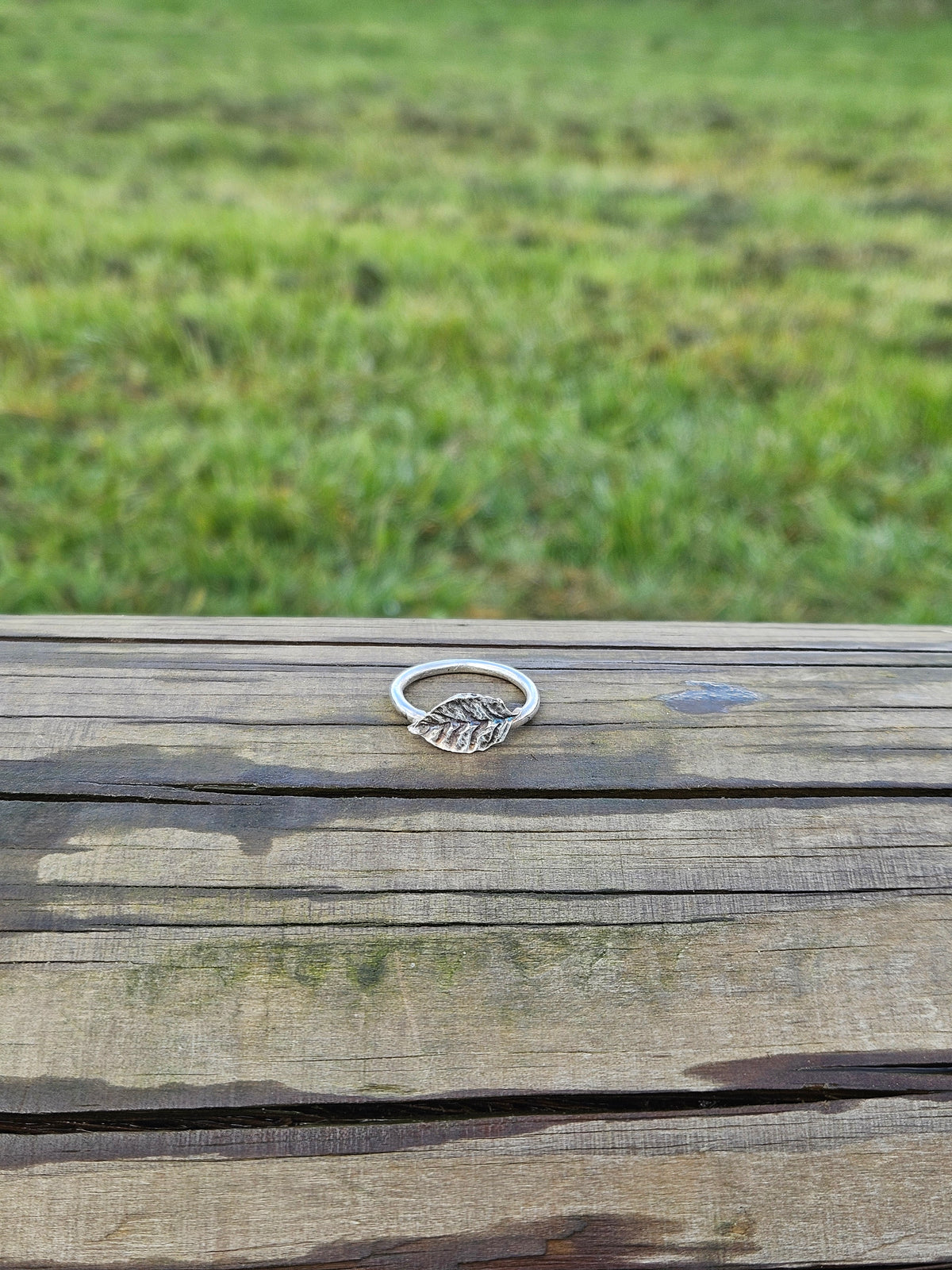 Silver Leaf ring